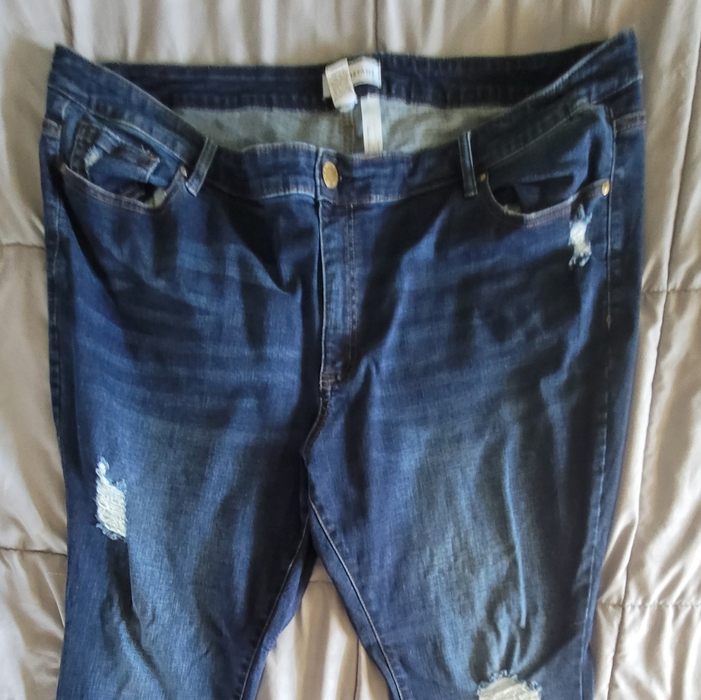 Lane bryant jeans 26